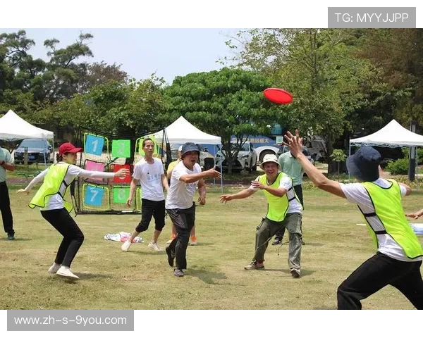 飞盘运动的魅力与挑战：深入了解上海飞盘队的耐力与团队精神